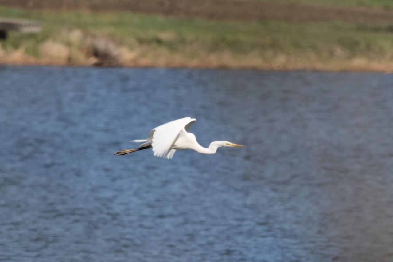 Nature Center Udoli Volavek II Weseritz Dış mekan fotoğraf
