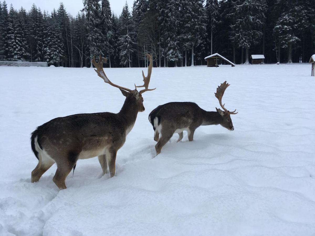 Nature Center Udoli Volavek II Weseritz Dış mekan fotoğraf